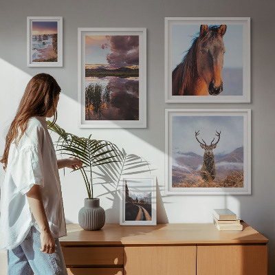 Ensemble de 5 tableaux La beauté naturelle des paysages