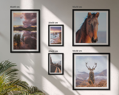 Ensemble de 5 tableaux La beauté naturelle des paysages