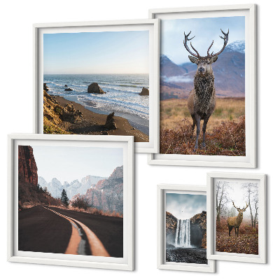 Lot de tableaux encadrés Nature animaux sauvages paysages