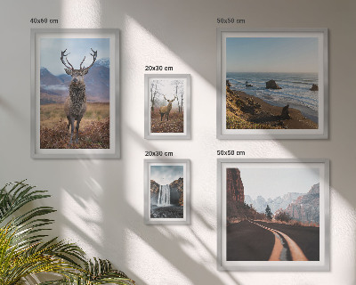 Lot de tableaux encadrés Nature animaux sauvages paysages