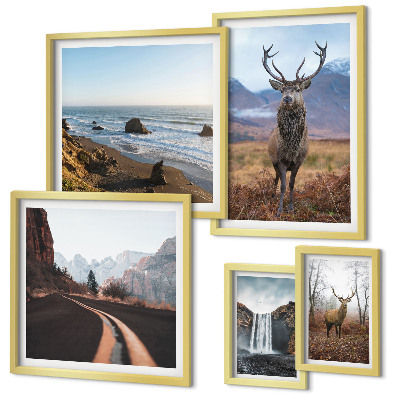 Lot de tableaux encadrés Nature animaux sauvages paysages
