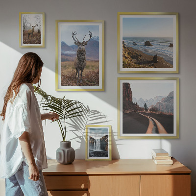 Lot de tableaux encadrés Nature animaux sauvages paysages