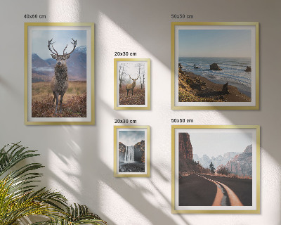 Lot de tableaux encadrés Nature animaux sauvages paysages
