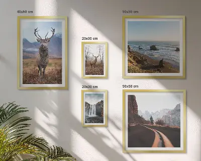 Lot de tableaux encadrés représentant des paysages d'animaux sauvages dans la nature