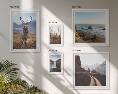 Lot de tableaux encadrés Nature animaux sauvages paysages