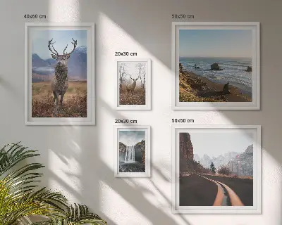 Lot de tableaux encadrés représentant des paysages d'animaux sauvages dans la nature