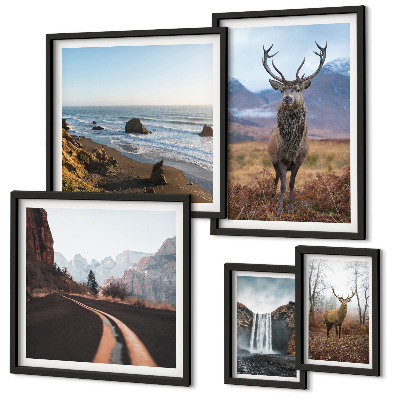 Lot de tableaux encadrés Nature animaux sauvages paysages
