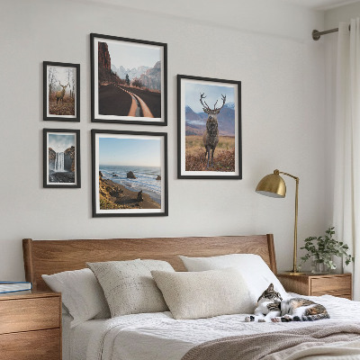 Lot de tableaux encadrés Nature animaux sauvages paysages
