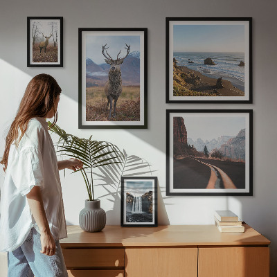 Lot de tableaux encadrés Nature animaux sauvages paysages