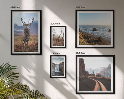 Lot de tableaux encadrés Nature animaux sauvages paysages