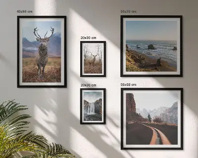 Lot de tableaux encadrés représentant des paysages d'animaux sauvages dans la nature