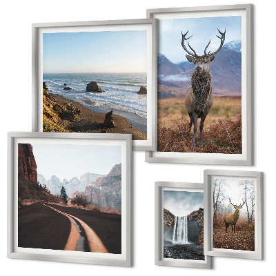 Lot de tableaux encadrés Nature animaux sauvages paysages