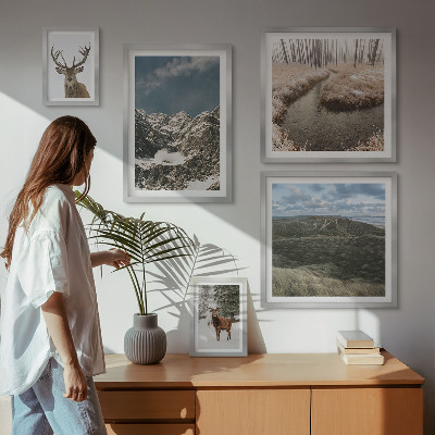 Ensemble de 5 tableaux Nature sauvage montagnes majestueuses