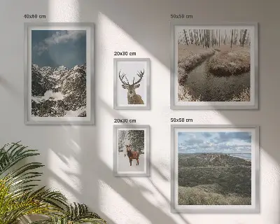 Ensemble de 5 tableaux représentant une nature sauvage avec des montagnes majestueuses