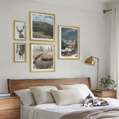 Ensemble de 5 tableaux Nature sauvage montagnes majestueuses