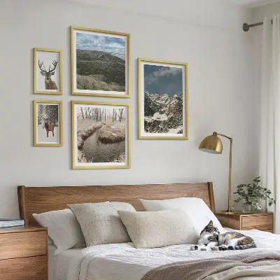Ensemble de 5 tableaux représentant une nature sauvage avec des montagnes majestueuses