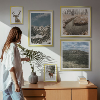 Ensemble de 5 tableaux Nature sauvage montagnes majestueuses