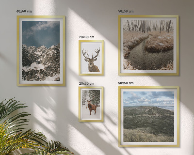 Ensemble de 5 tableaux Nature sauvage montagnes majestueuses