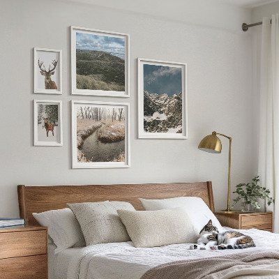 Ensemble de 5 tableaux Nature sauvage montagnes majestueuses