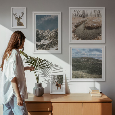 Ensemble de 5 tableaux Nature sauvage montagnes majestueuses