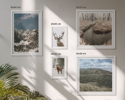 Ensemble de 5 tableaux Nature sauvage montagnes majestueuses
