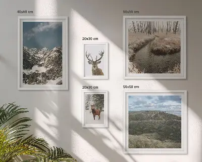 Ensemble de 5 tableaux représentant une nature sauvage avec des montagnes majestueuses