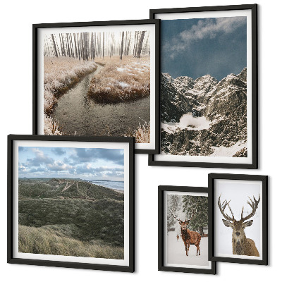 Ensemble de 5 tableaux Nature sauvage montagnes majestueuses