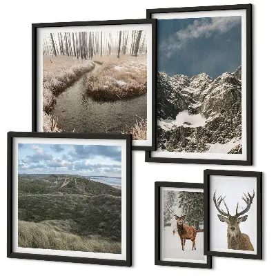 Ensemble de 5 tableaux représentant une nature sauvage avec des montagnes majestueuses