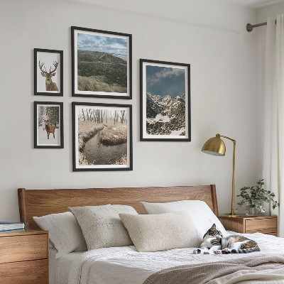 Ensemble de 5 tableaux Nature sauvage montagnes majestueuses