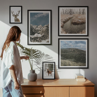 Ensemble de 5 tableaux Nature sauvage montagnes majestueuses
