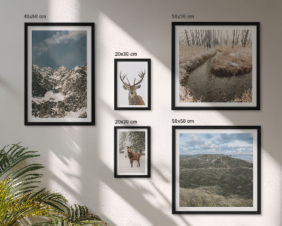 Ensemble de 5 tableaux Nature sauvage montagnes majestueuses
