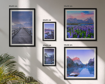 Lot de tableaux encadrés Paysages de montagne et de bord de mer
