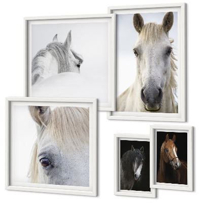 Lot de tableaux encadrés Portraits de chevaux dans des styles artistiques