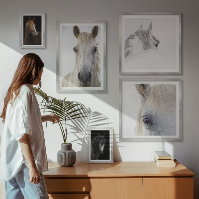 Lot de tableaux encadrés Portraits de chevaux dans des styles artistiques