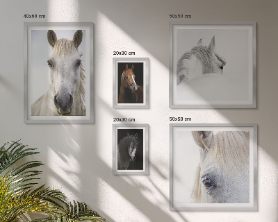 Lot de tableaux encadrés Portraits de chevaux dans des styles artistiques