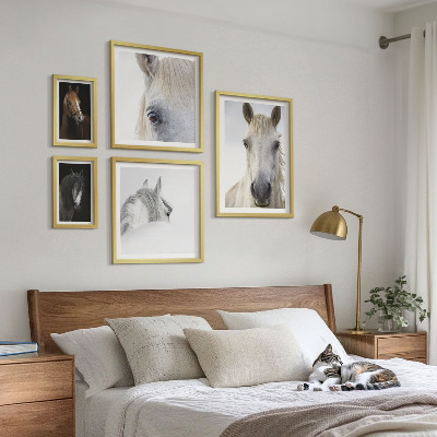 Lot de tableaux encadrés Portraits de chevaux dans des styles artistiques