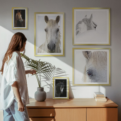 Lot de tableaux encadrés Portraits de chevaux dans des styles artistiques