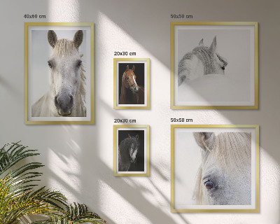 Lot de tableaux encadrés Portraits de chevaux dans des styles artistiques