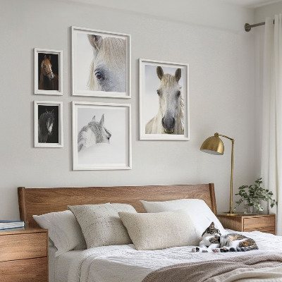 Lot de tableaux encadrés Portraits de chevaux dans des styles artistiques