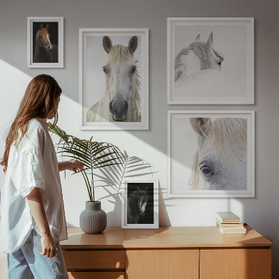 Lot de tableaux encadrés Portraits de chevaux dans des styles artistiques