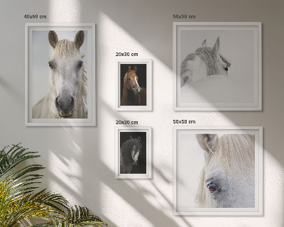 Lot de tableaux encadrés Portraits de chevaux dans des styles artistiques