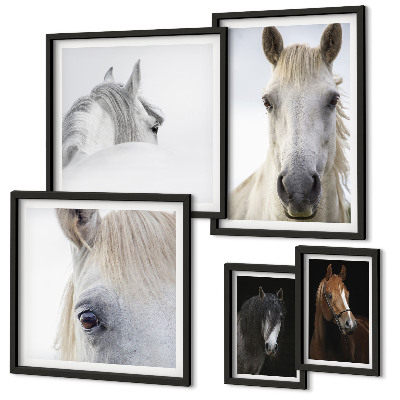 Lot de tableaux encadrés Portraits de chevaux dans des styles artistiques