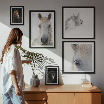 Lot de tableaux encadrés Portraits de chevaux dans des styles artistiques