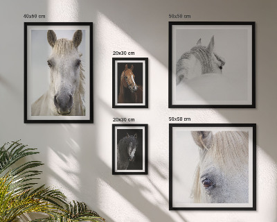 Lot de tableaux encadrés Portraits de chevaux dans des styles artistiques
