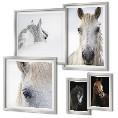 Lot de tableaux encadrés Portraits de chevaux dans des styles artistiques