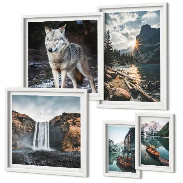 Ensemble de 5 tableaux représentant des paysages de nature et de la faune