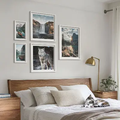 Ensemble de 5 tableaux représentant des paysages de nature et de la faune
