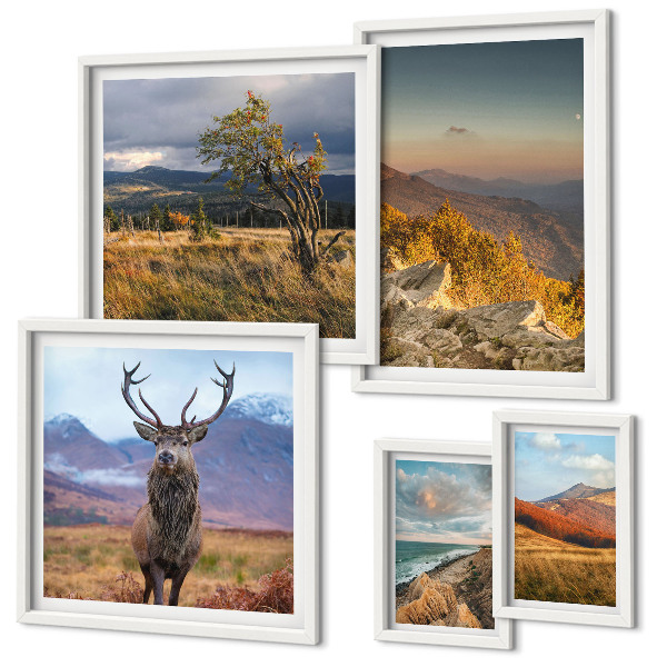 Tableau de décoration murale Paysages de faune et de flore de montagne