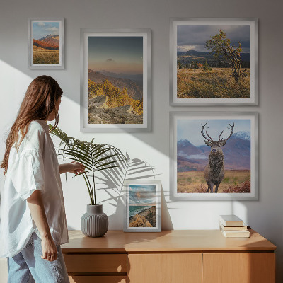 Tableau de décoration murale Paysages de faune et de flore de montagne
