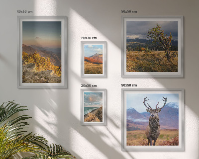 Tableau de décoration murale Paysages de faune et de flore de montagne